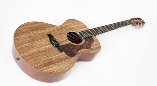 Blackbird El Capitan Akustikgitarre Komplett groß