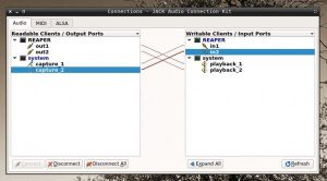 Reaper DAW Linux ARM JACK Routing