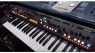 Behringer DeepMind12 Phat12 Prototype