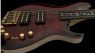 PRS Private Stock Grainger 5 Fretless Bass