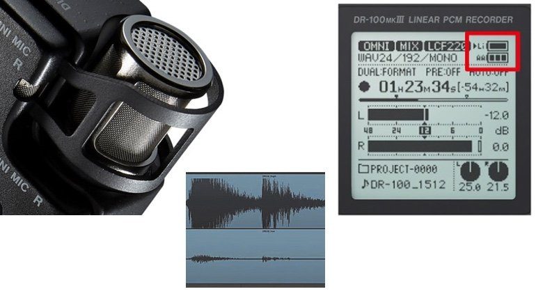 Tascam DR-100 MK III Mikrokorb Display Dual Level Recording