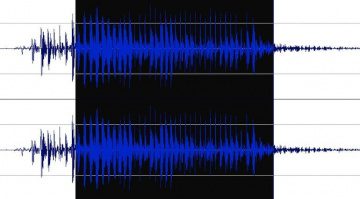 Wavosaur Waveform Timeline Nah