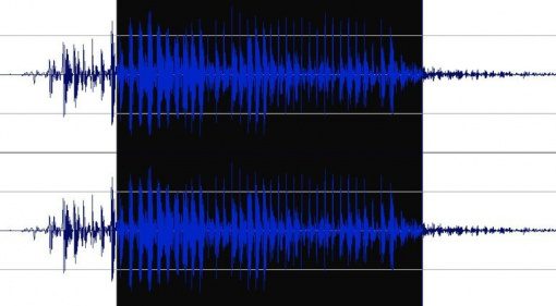 Wavosaur Waveform Timeline Nah