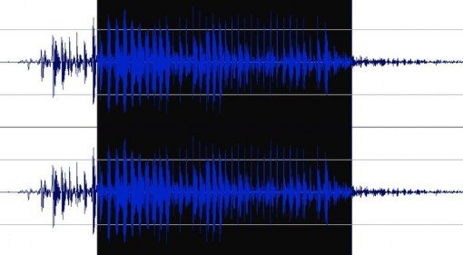 Wavosaur Waveform Timeline Nah