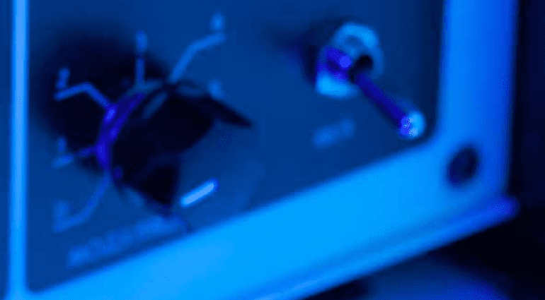 What synth is this?