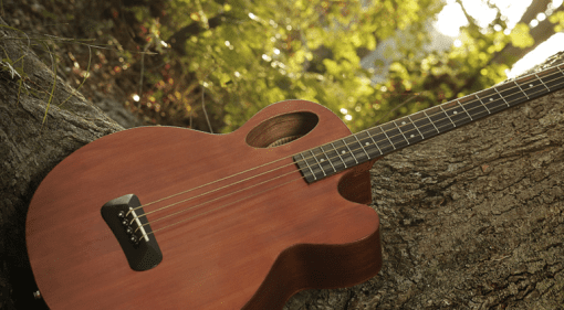 Spector Timbre Akustik Bass Natural Baum