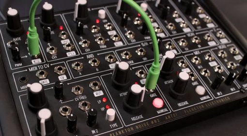 Plankton Electronics -Ants - Modular Synth