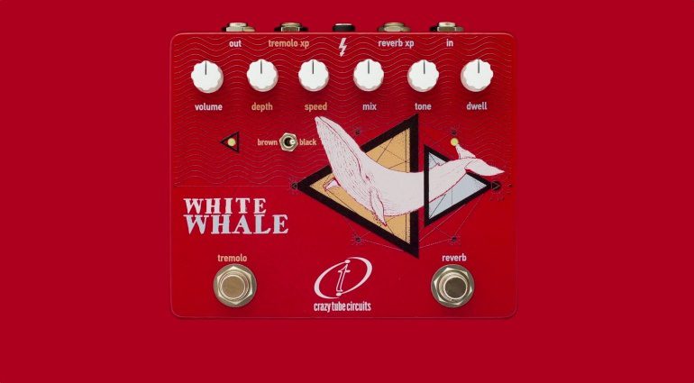 Crazy Tube Circuits Pedal Front White Whale