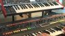 Behringer Deepmind 12 vs Roland Jupiter-8