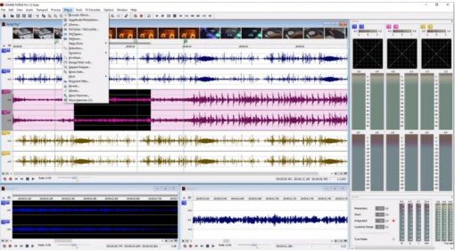 Magix Sound Forge Pro 12