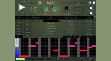 Lumbeat iBassist iPad