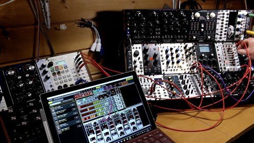 Voltage Modular vs. Eurorack