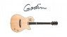 New Godin Multiac Steelstring