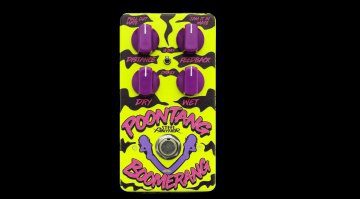 Steel Panther Poontang Boomerand Delay Pedal