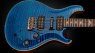 PRS modern eagle private V Stock E-gitarre Body Front