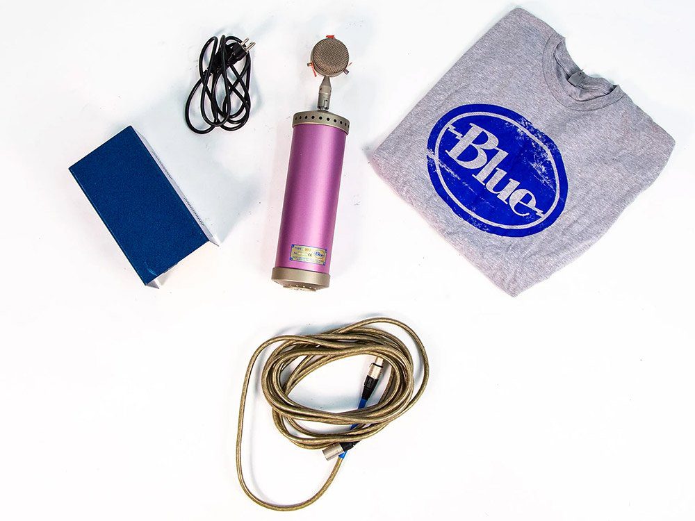 Mark Hoppus blink-182 Pink Blue Microphones