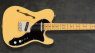 Fender-Britt-Daniel-Tele-Thinline-1-1