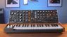 Behringer Poly D - ein vierstimmiger Minimoog Model D!