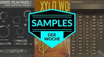 Samples der Woche: Forest Film Pads 1, Dominus Choir Pro, Xylo Wood