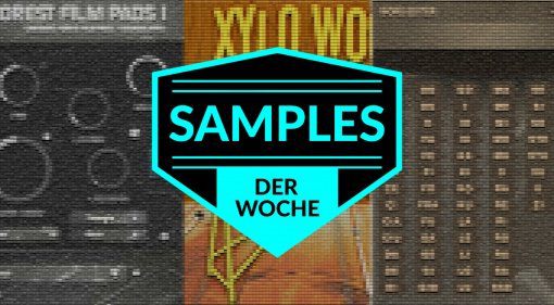 Samples der Woche: Forest Film Pads 1, Dominus Choir Pro, Xylo Wood