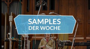 Samples der Woche: SP1200 Collection, Designer Drums 2, Swarm Percussion