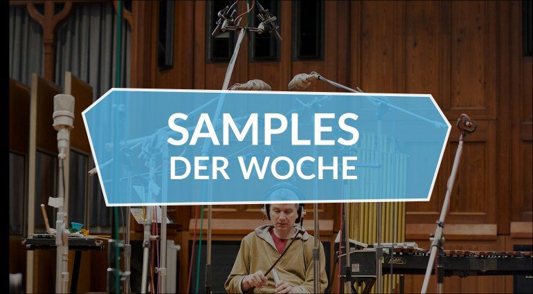 Samples der Woche: SP1200 Collection, Designer Drums 2, Swarm Percussion