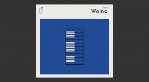 Felt Wolno