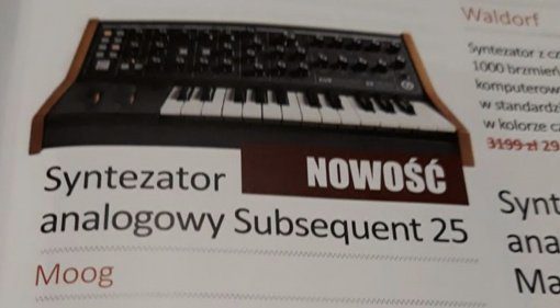 Moog Subsequent 25