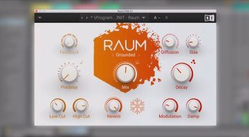 Native Instruments Raum