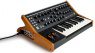 Moog Subsequent 25