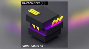 Function Loops Label Sampler