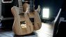 Washburn Nuno Bettencourt Nele Tele Signature Teaser