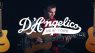 Akustikgitarren von D'Angelico