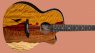 Luna Guitars Vista Eagle AE Tropical Wood