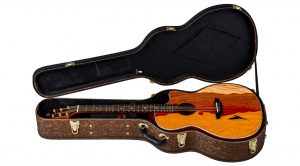 Luna Guitars Vista Eagle AE Tropical Wood Hardcase