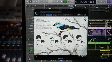 Puremagnetik Shrike: ein erweitertes Shimmer Reverb und mehr