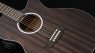 Washburn Deep Forest Ebony Body Front