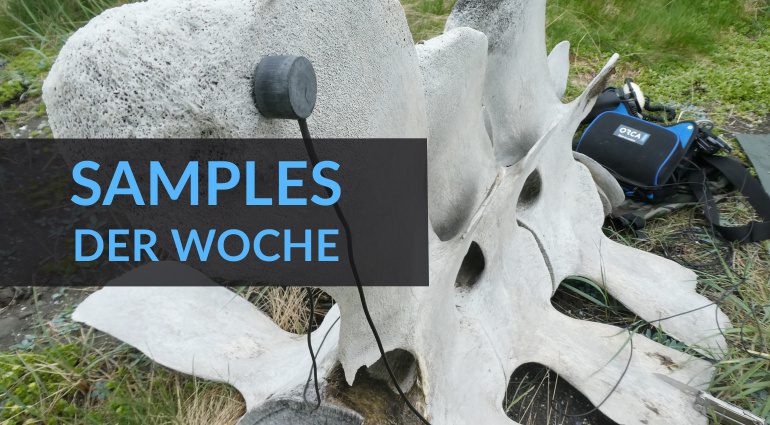 Samples der Woche: The Pool Project, Whale Bone Percussion, Landforms