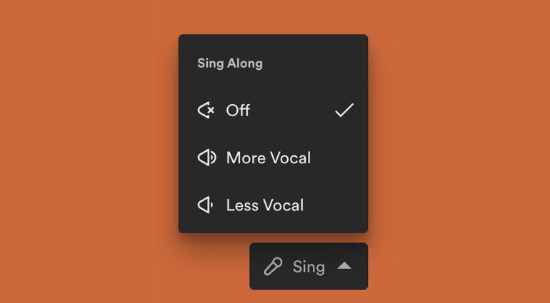 Leak: Kommt mit Spotify Sing Along ein automatischer Karaoke-Modus?
