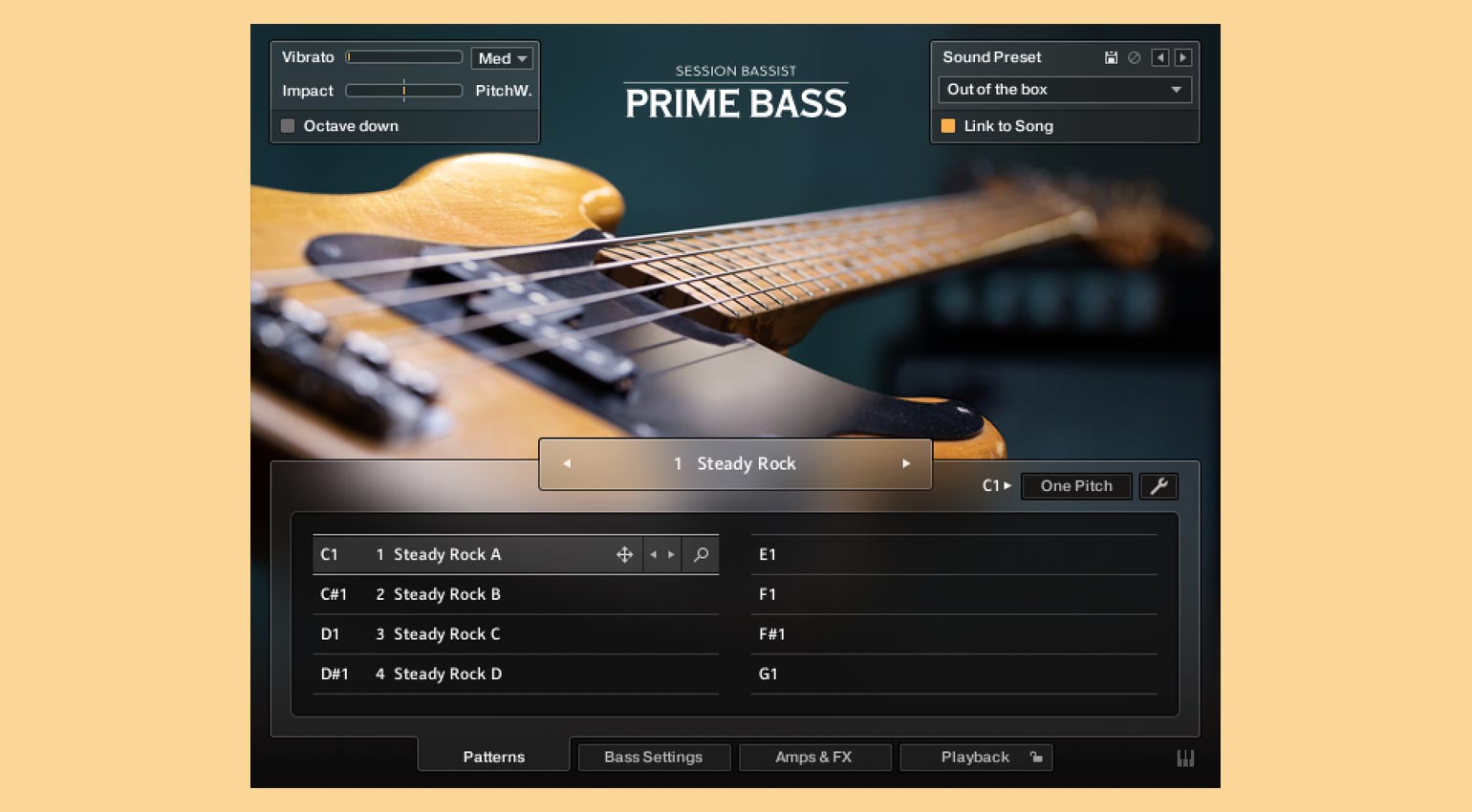 Native Instruments Session Bassist – Prime Bass