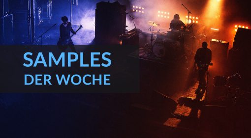 Samples der Woche: Prime Bass, Tony Royster Jr., Downtempo Guitar und kostenlose Angebote