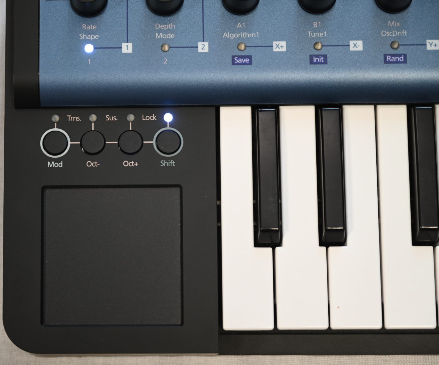 Angecheckt Modal Cobalt 5s Synthesizer gearnews.de