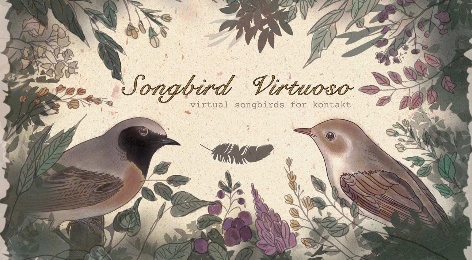 Loops de la Crème Songbird Virtuoso