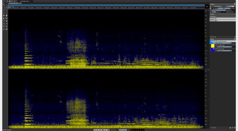 Steinberg SpectraLayers 9: Unmix Level Funktion