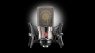 Neumann TLM 103 25 Years Edition