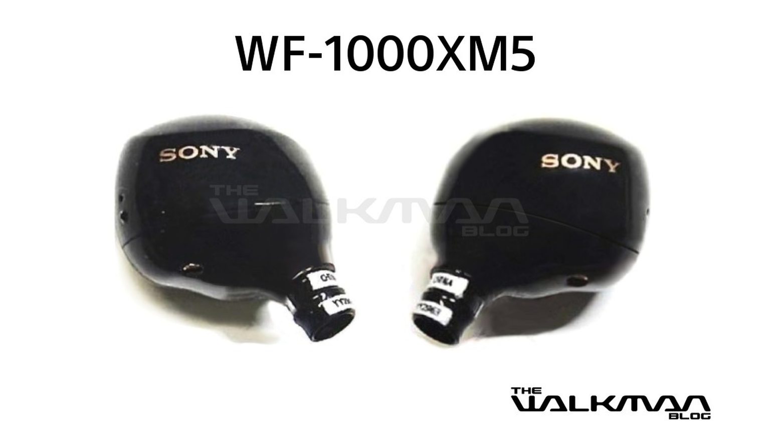 Der Sony WF-1000XM5 Leak bei The Walkman Blog