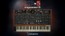 Acustica Audio Expanse-5