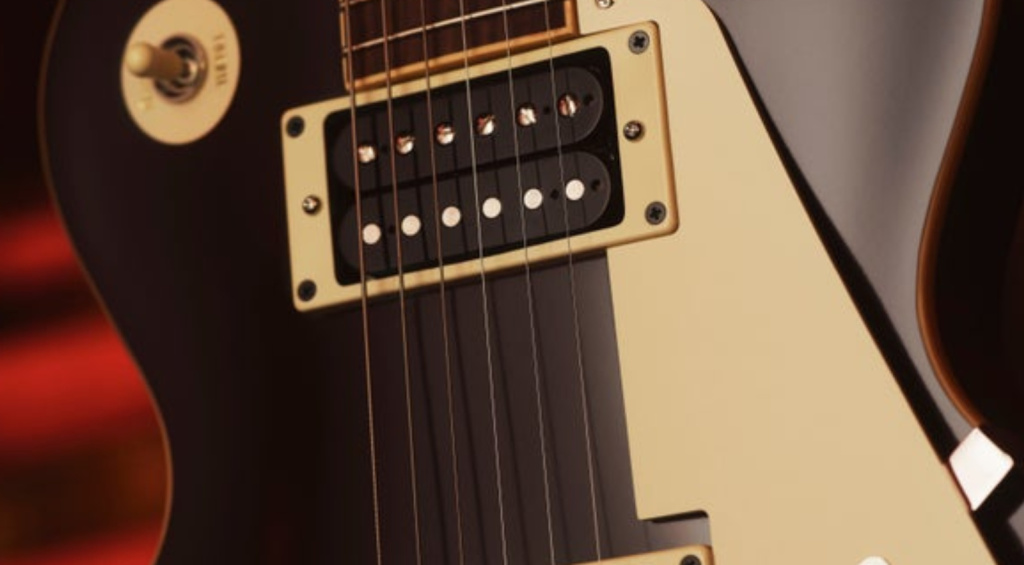 Custombucker und Pickguard