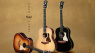 Taylor Gold Label Collection: So warm klang eine Taylor noch nie!