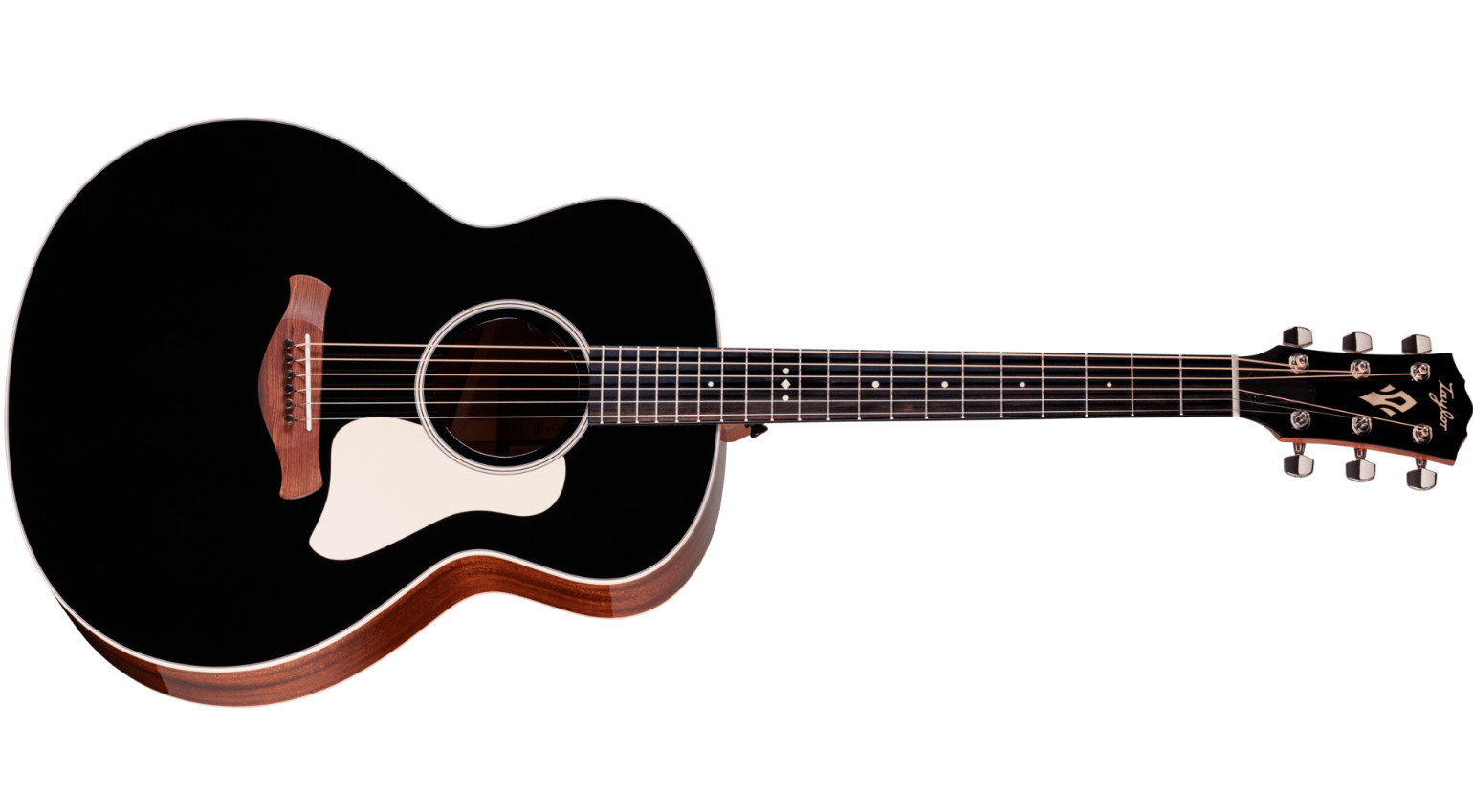Taylor Gold Label 514e Blacktop